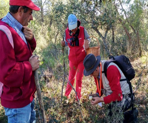 XVII Jornadas Micológicas de Jayena y Fornes, unas jornadas con pocas setas y muchas actividades