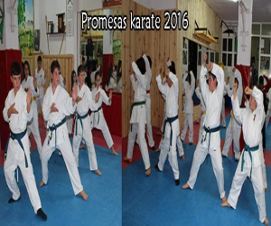 Campeonato promesas de karate 2016