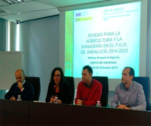 La Junta informa al sector hortícola de la nueva convocatoria de ayudas a la modernización de invernaderos