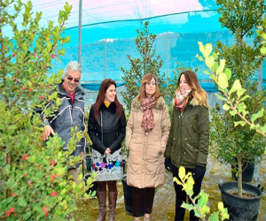 El vivero 'La Resinera' cuenta con 88.492 plantas para su uso y 281 tipos de semillas para las reforestaciones en la provincia