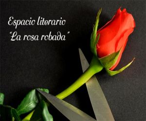 La rosa robada