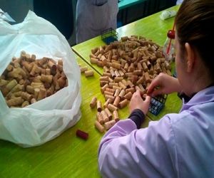 La Asociación Ambiental el Quejigo recibe una subvención de 3.000 euros de la Junta de Andalucía