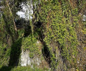 Fuente barranco