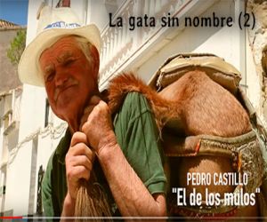 Pedro, el de los mulos (2)