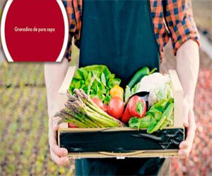 Diputación lanza una campaña de apoyo al sector agroalimentario granadino frente a la crisis 