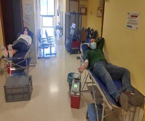 En mayo bajaron ligeramente las donaciones