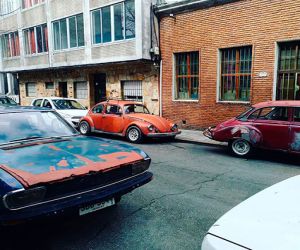 Trinchetos desde el Uruguay