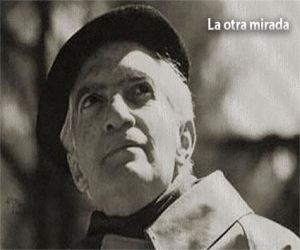 Luchando por la paz