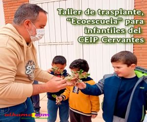 Taller de trasplante, “Ecoescuela” en educación Infantil del CEIP Cervantes