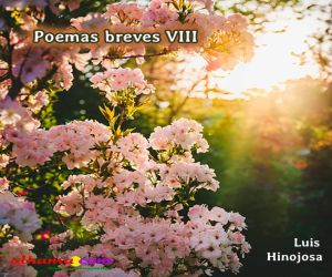 Poemas breves VIII