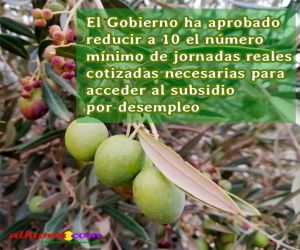 El Gobierno ha aprobado reducir a 10 el número mínimo de jornadas reales cotizadas necesarias para acceder al subsidio por desempleo
