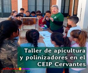 Taller de apicultura y polinizadores en el CEIP Cervantes
