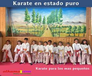 Karate en estado puro
