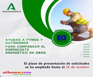 Ayudas a Pymes y Autónomos para compensar el sobrecoste energético en 2022