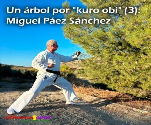 Un árbol por "kuro obi" (3): Miguel Páez Sánchez