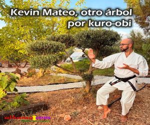 Kevin Mateo, otro árbol por kuro-obi 