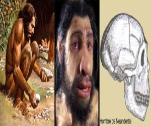 Los neandertales fueron caníbales en Zafarraya
