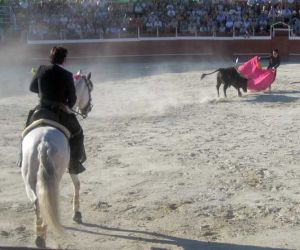 La ausencia de Batalla y los forcados portugueses protagonizaron los toros de Alhama