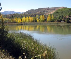 "La declaración de humedal  de la presa aumenta  la conservación de la flora y la fauna del entorno"