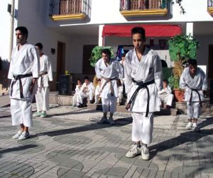 Exhibición de kárate en Arenas del Rey
