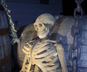 Jálogüin, el terror de los borregos