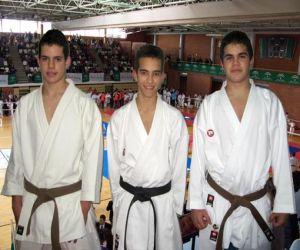 Convocatoria andaluza de kárate