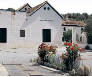 La calidad del aceite de Almazara Ángela de Jayena  ha recibido diez galardones desde 2005
