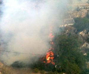 Incendio en los tajos  el pasado viernes
