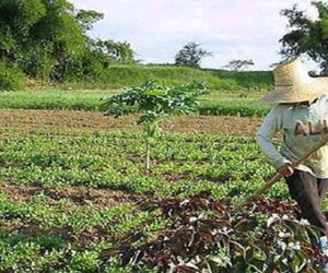 El 15 de octubre de cada año se celebra el Día Internacional de las Mujeres Rurales