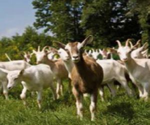 Ayuntamiento y UTEDLT se unen para ofrecer información sobre agricultura ecológica