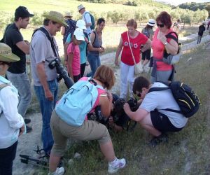La fotografía, protagonista de la X Jornada Ornitológica