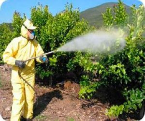 Cursos de aplicador de plaguicidas