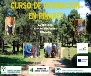 Curso de resinación en pinares