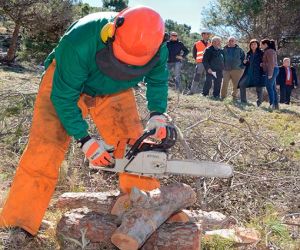 La Junta destina 6 millones de euros en trabajos medioambientales en más de cien municipios de la provincia dentro del Plan de Choque por el Empleo