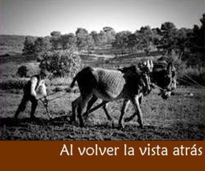 El mozo
