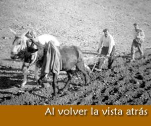 El pintaor