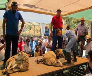 La feria agroganadera entre la mecanización y lo tradicional