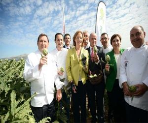 La consejera de Agricultura resalta la "calidad excepcional" de la alcachofa y anima a aumentar su consumo  