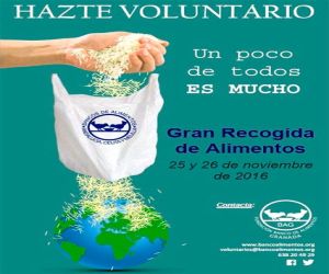 El Banco de Alimentos se prepara para la Gran Recogida 2016