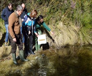 Medio Ambiente reintroduce 400 ejemplares de cangrejo autóctono de río en arroyos de las sierras de Tejeda, Almijara y Alhama