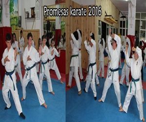 Campeonato promesas de karate 2016