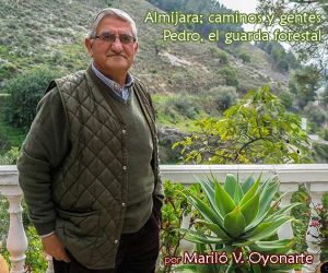 Pedro, el guarda forestal