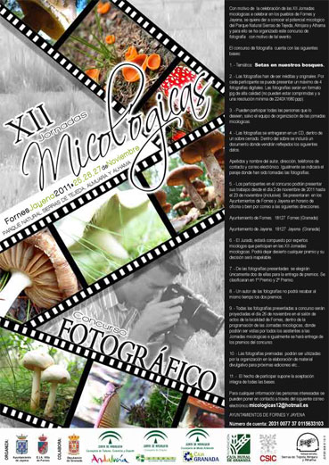 Cartel del concurso fotográfico XII Jornadas Micologicas