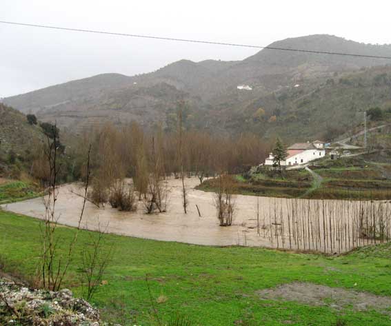  Imagen de la auténtica anchura del río por encima de la presa, a la altura del cortijo Requesón 