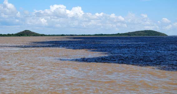  La agencia se encuenta al lado de la confluencia de los ríos Caroni y Orinoco, cuyas aguas se mezclan, pero se distingue perfectamente las provenientes de cada uno de ellos 