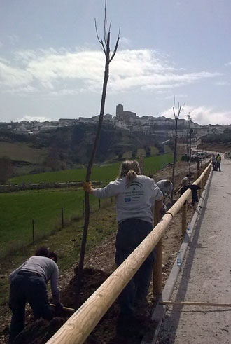 Plantando árboles en la ruta termal