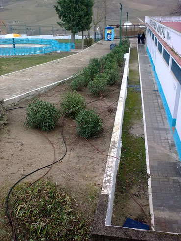 Instalación de riego en la piscina municipal