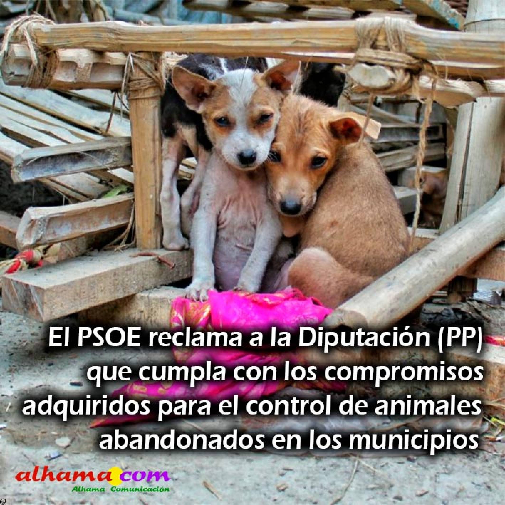 El PSOE reclama a la Diputación (PP) que cumpla con los compromisos para el control de animales abandonados en los municipios