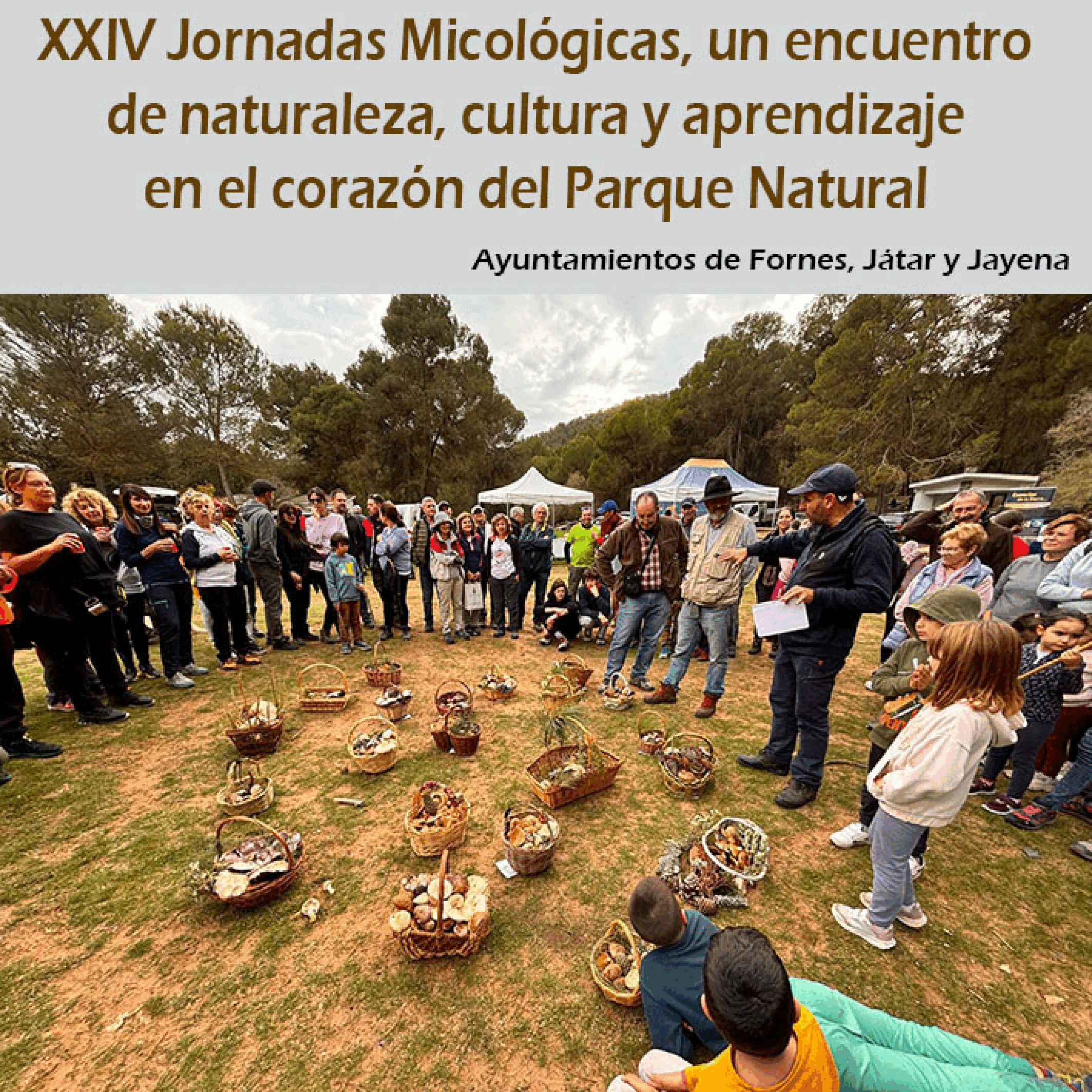 XXIV Jornadas Micológicas, un encuentro de naturaleza, cultura y aprendizaje en el corazón del Parque Natural 