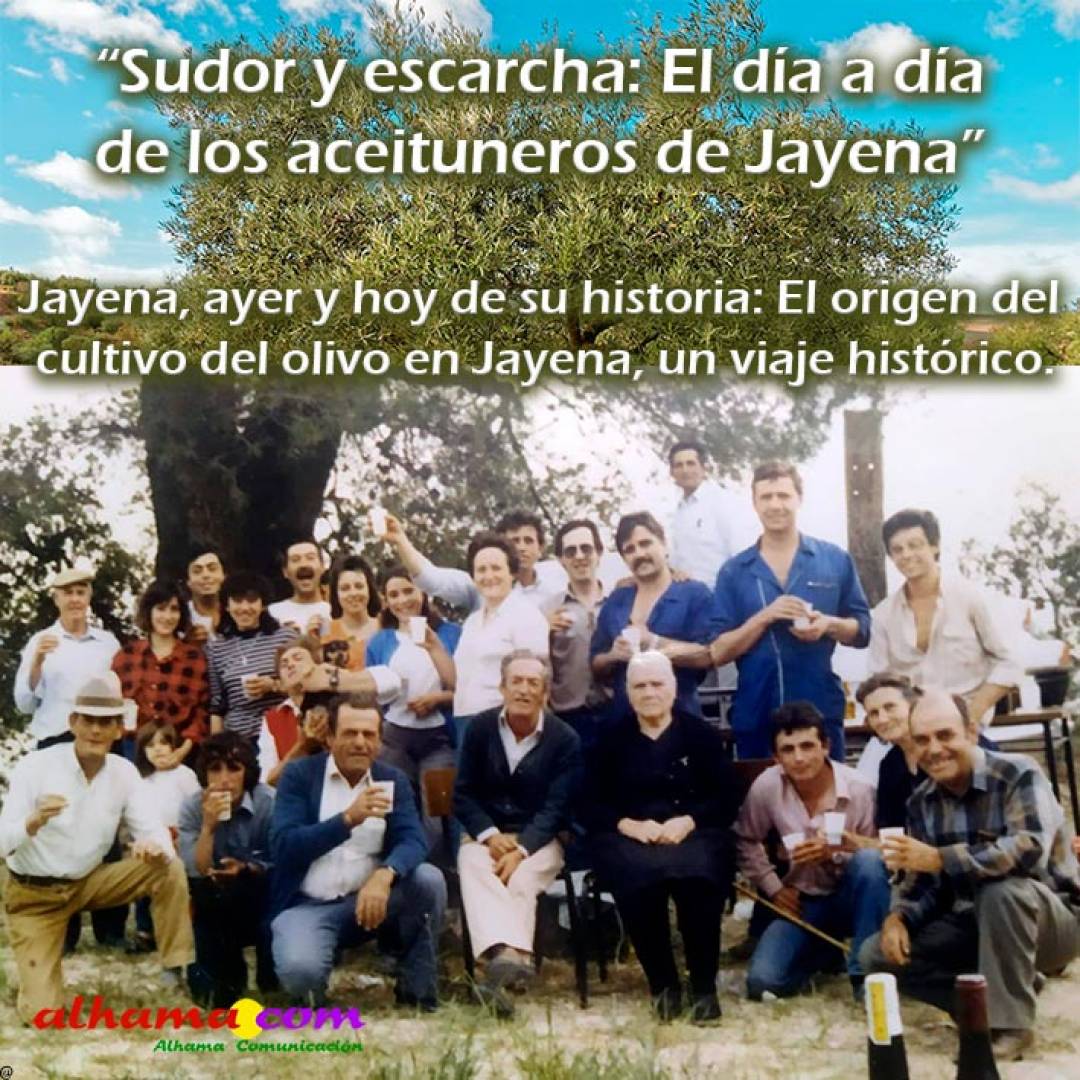 “Sudor y escarcha: El día a día de los aceituneros de Jayena”